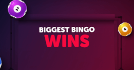 Big Bingo Win Ever