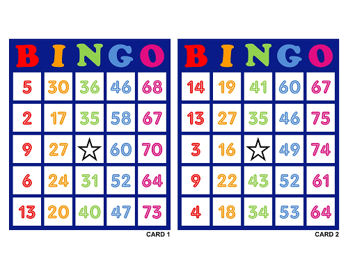Play Bingo Online 